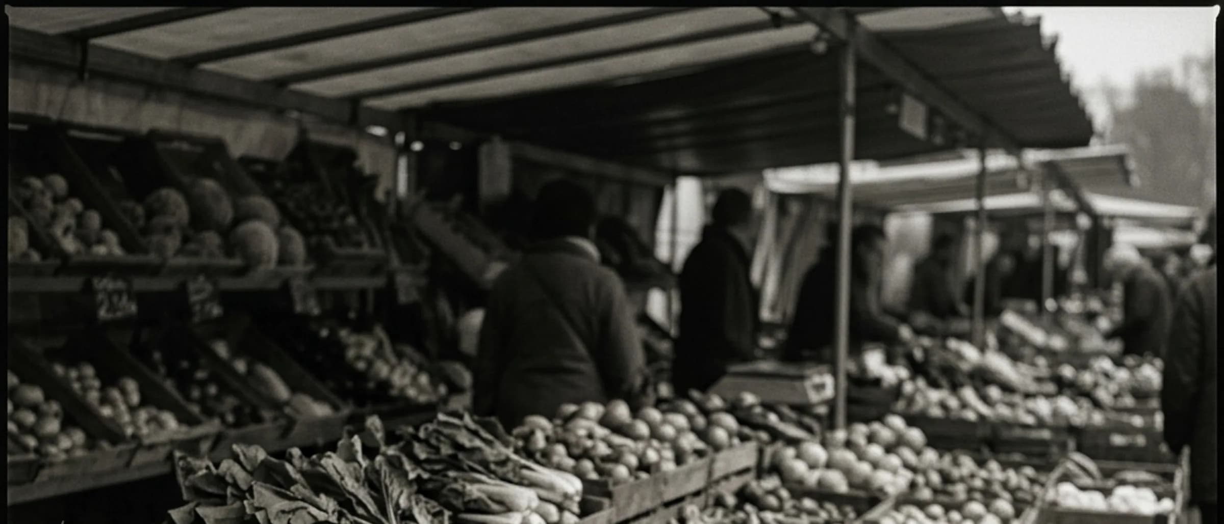 A wide greengrocer display of wooden crates filled with colourful fresh fruit and vegetables in daylight.